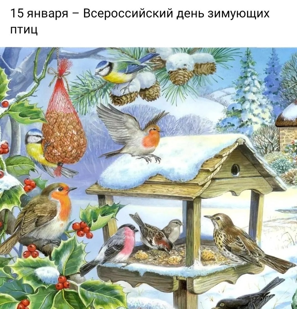 15 января – добрый экологический праздник «Всероссийский день зимующих птиц» .
